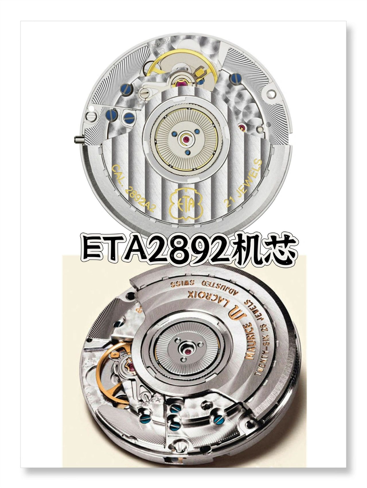 二、机芯的构造特点